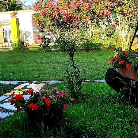 Apartmán Kolonia E Artistave Velipojë Exteriér fotografie