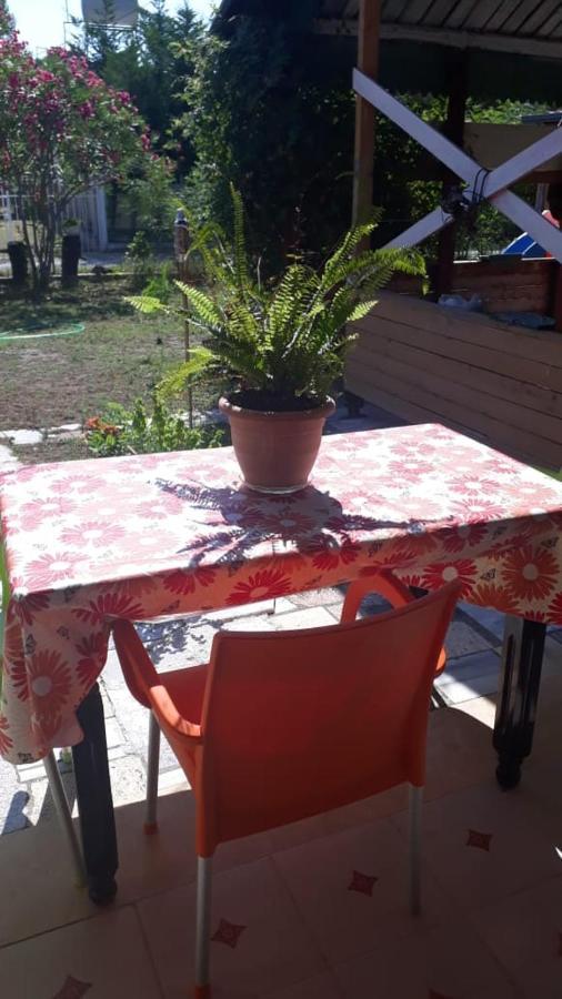 Apartmán Kolonia E Artistave Velipojë Exteriér fotografie