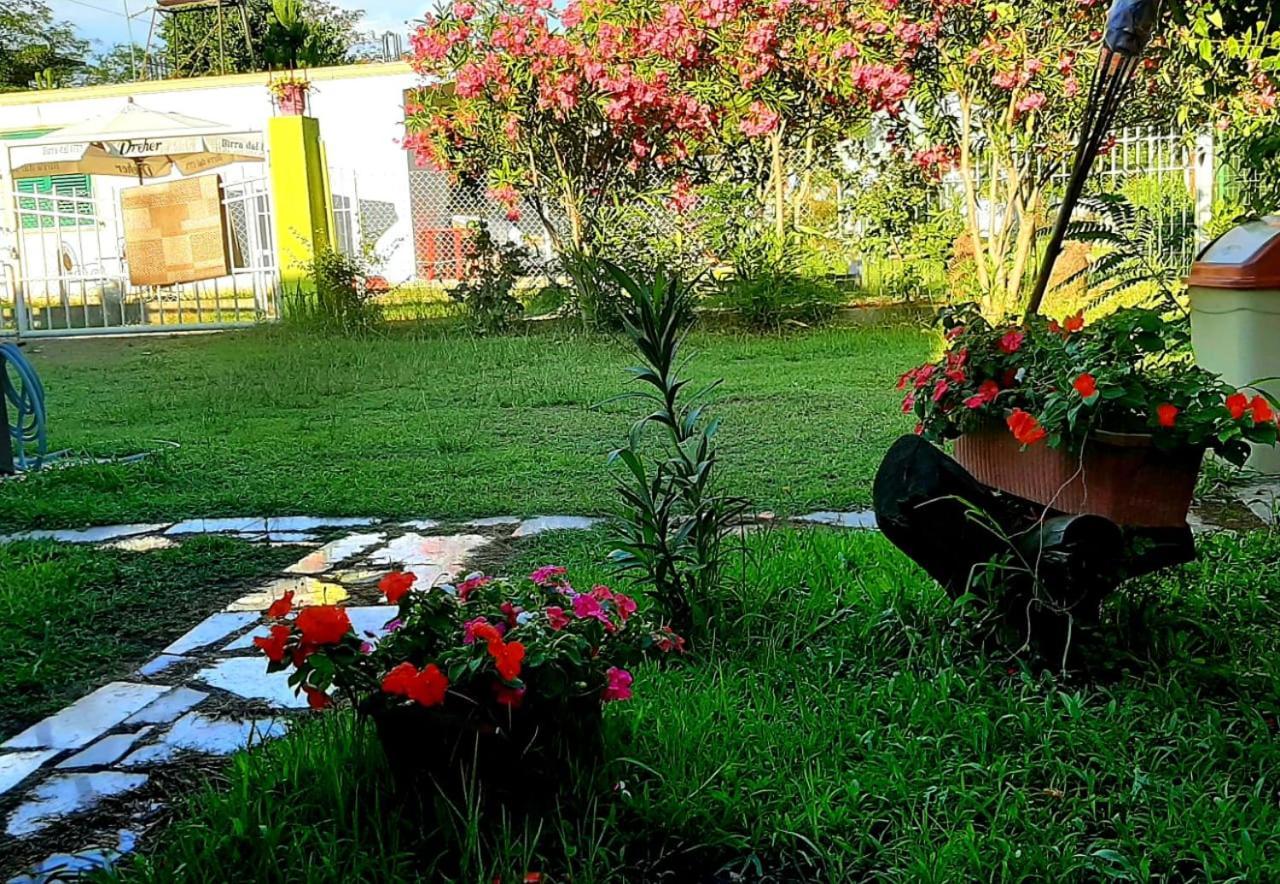 Apartmán Kolonia E Artistave Velipojë Exteriér fotografie