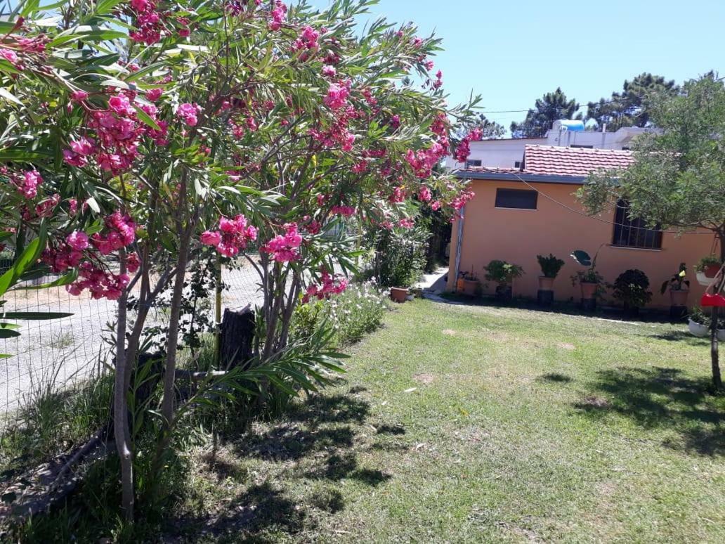 Apartmán Kolonia E Artistave Velipojë Exteriér fotografie